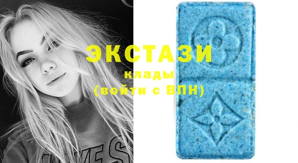 apvp Бородино