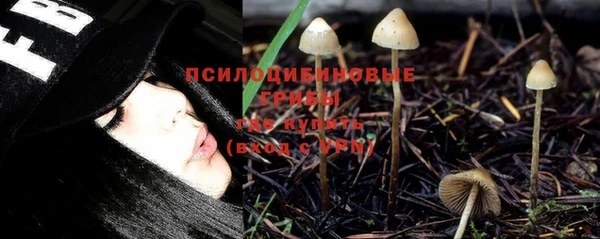 apvp Бородино